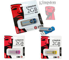 USB Kingston 2G