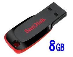 USB Sandisk 8G